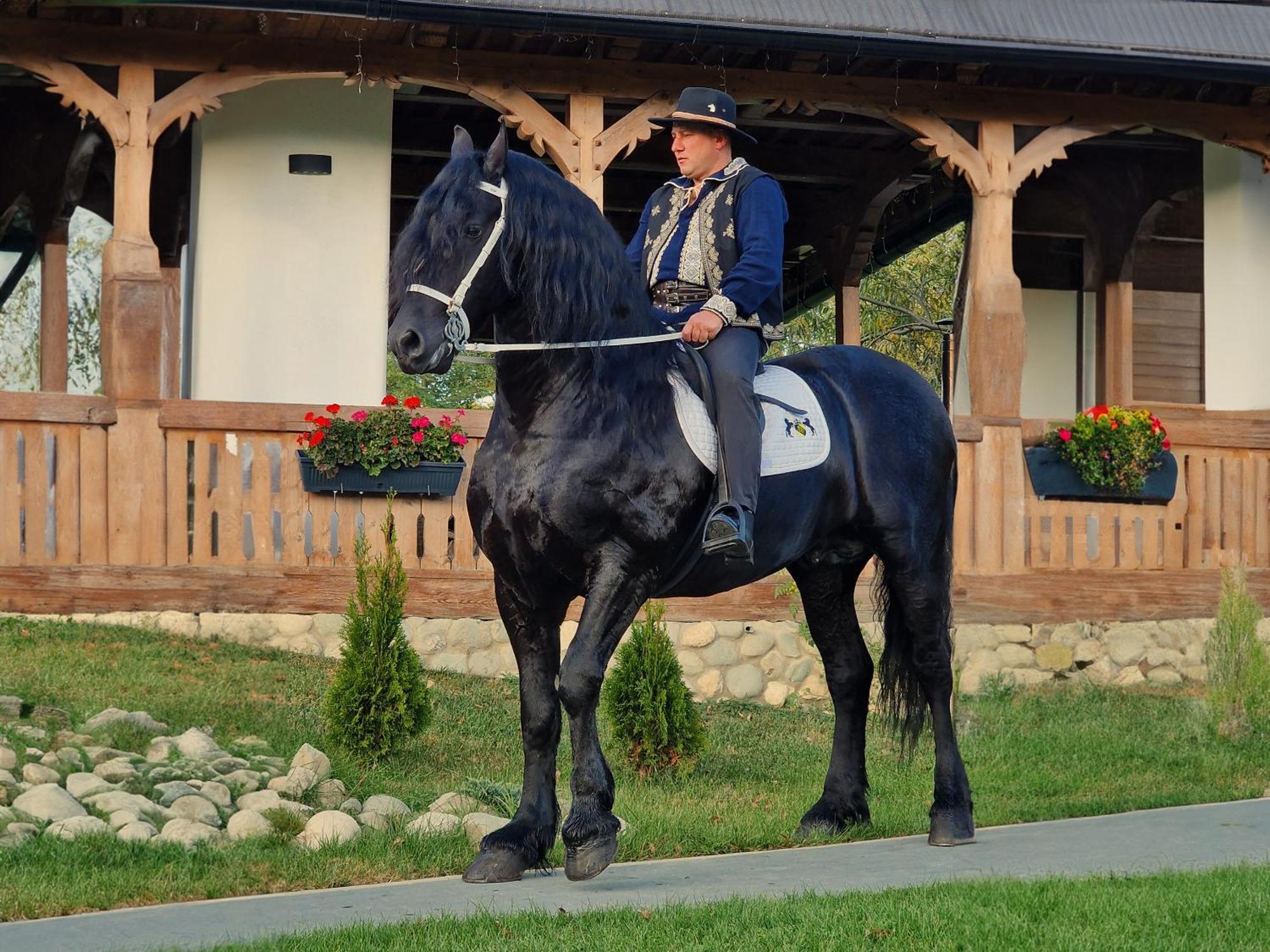 Plai Din Bran Villa Bran  Bagian luar foto